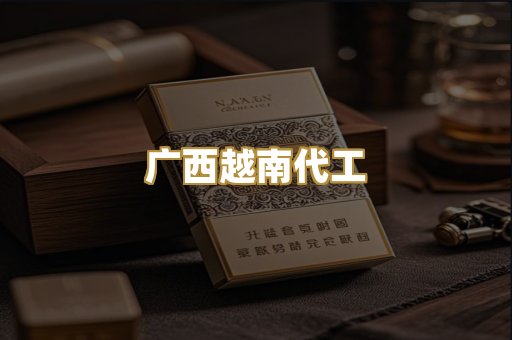 广西越南代工
